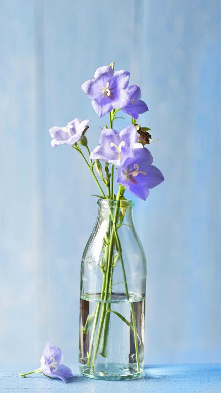 李语欣（见习小记者）