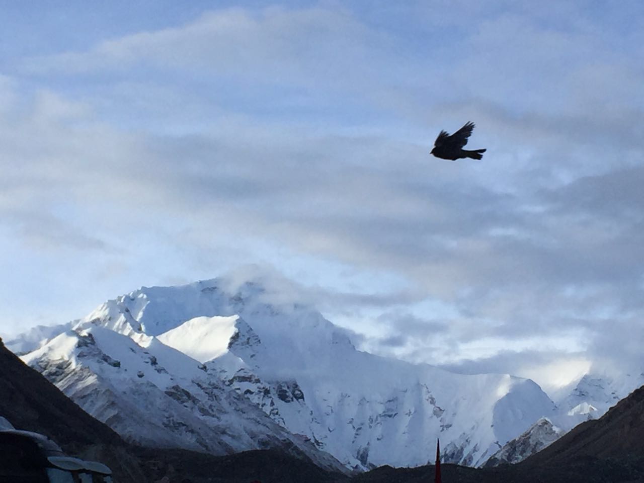 微信图片_20170902205420.jpg 微信图片_20170902205420.jpg