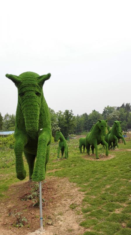 201606121816446630.jpg 201606121816446630.jpg