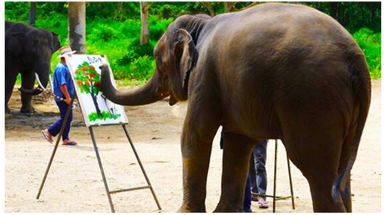 QQ图片20180226094307.png QQ图片20180226094307.png