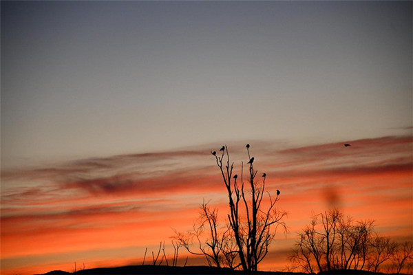 2018041222345058826.jpg 2018041222345058826.jpg