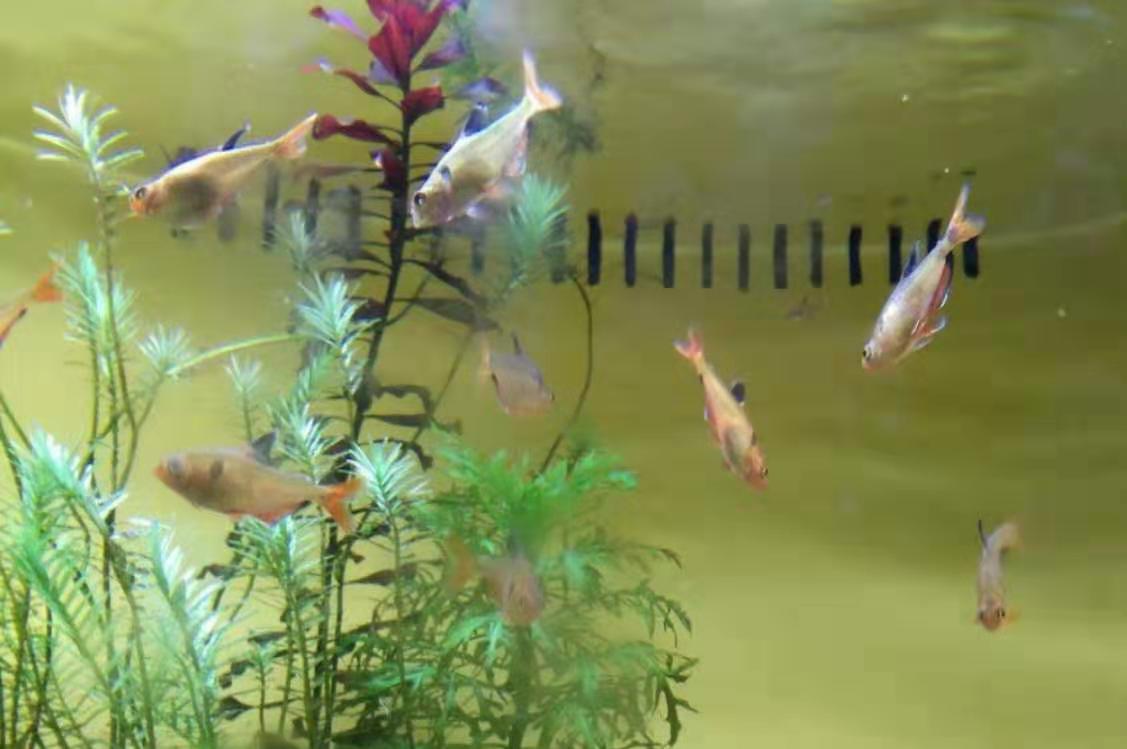 微信图片_20191031220136.jpg 微信图片_20191031220136.jpg