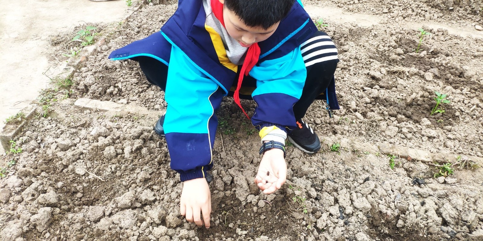 QQ图片20210318211538.jpg QQ图片20210318211538.jpg