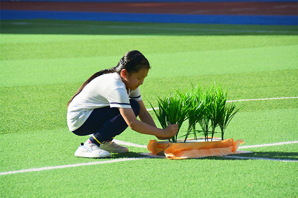 运动员在“插秧大比拼”中学会“插秧”。.jpg 运动员在“插秧大比拼”中学会“插秧”。.jpg